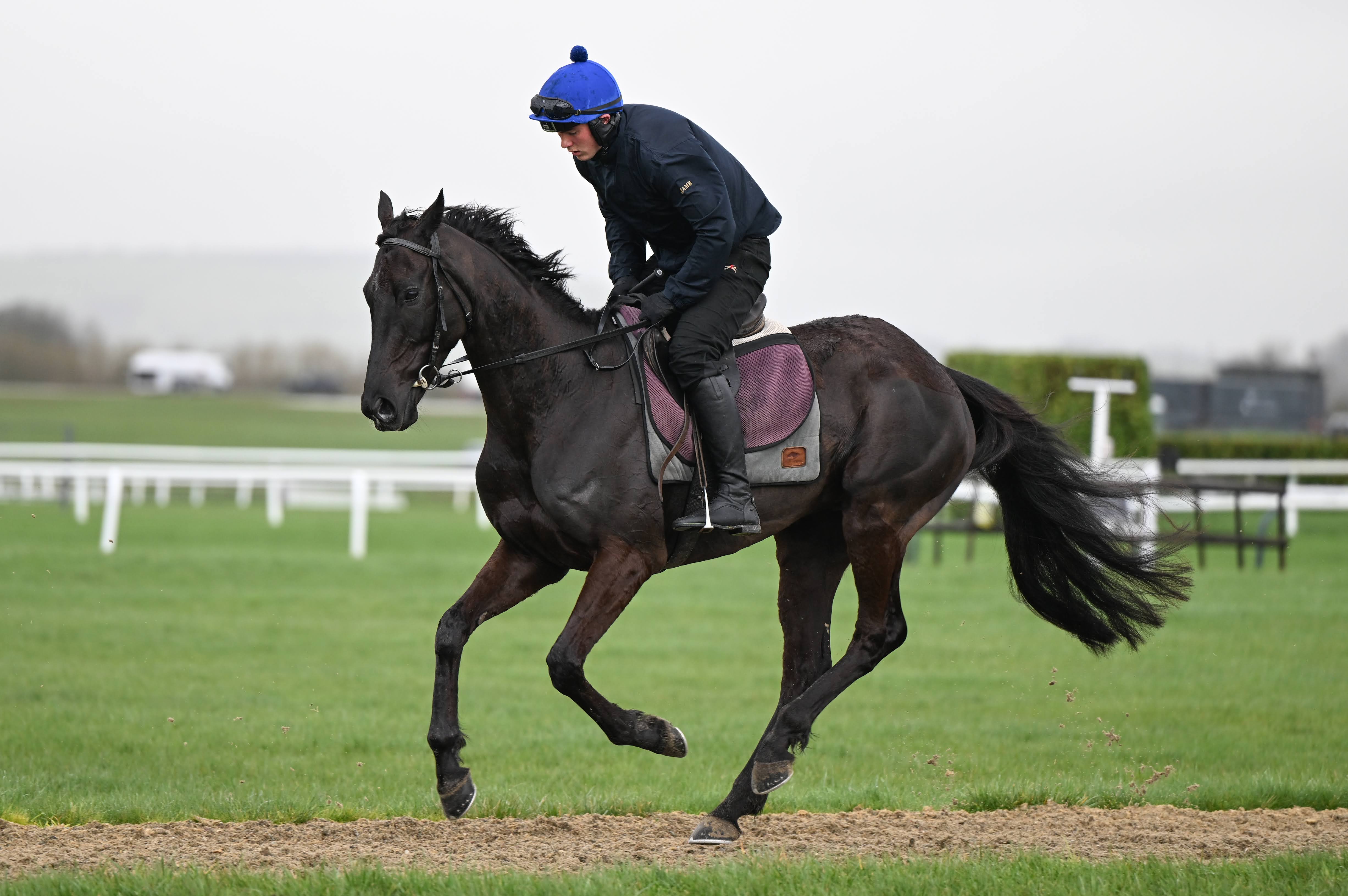 Cheltenham 2024