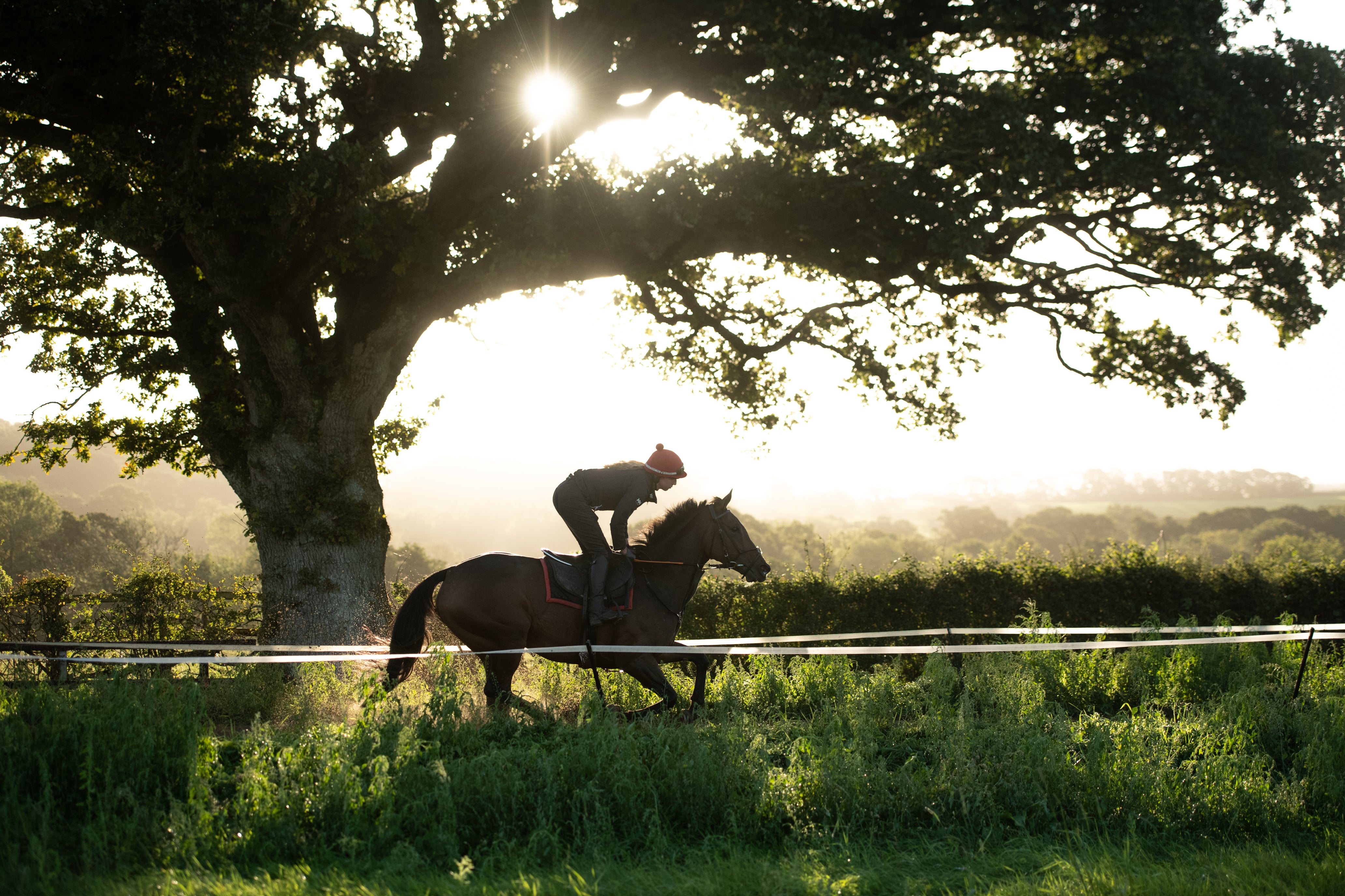 Horse Riding Accessories | Equestrian Accessories & Equipment
