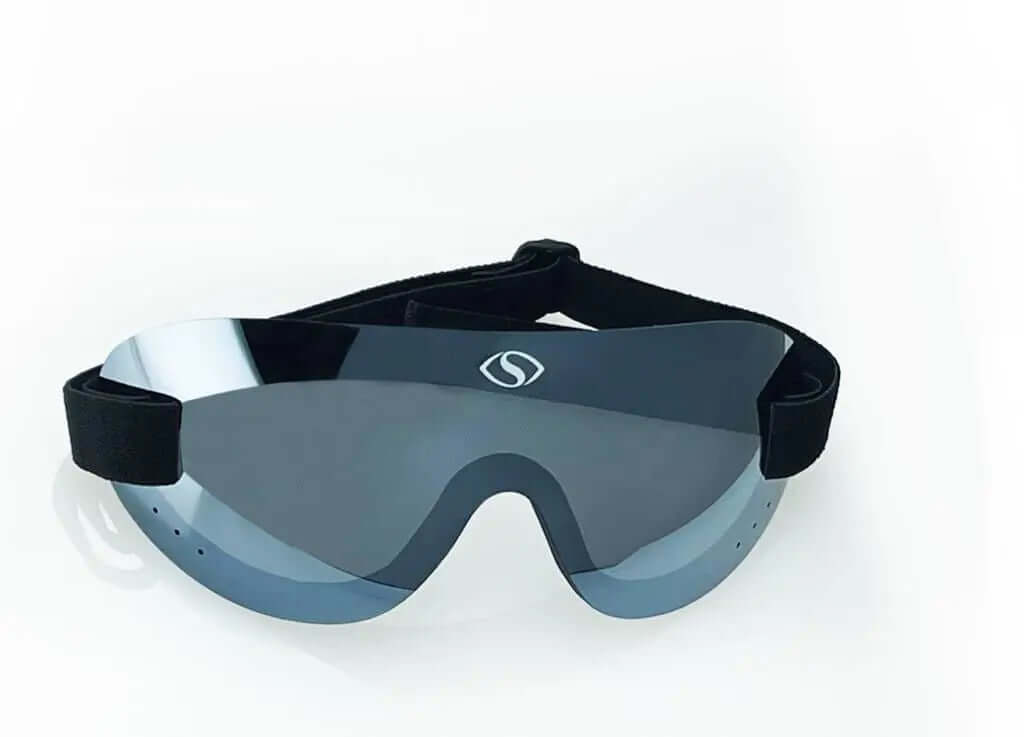 Shores Silver Smoke Goggles