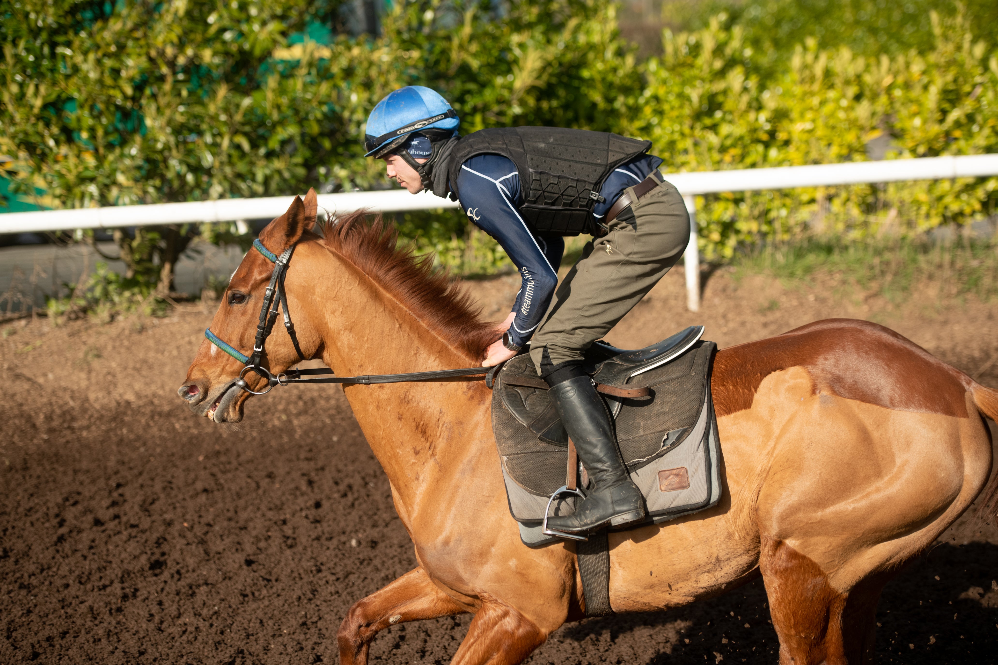 duvall-140-summer-breeches-moss-green