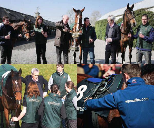 Good luck to WP Mullins at the Leopardstown Christmas Festival 2015!