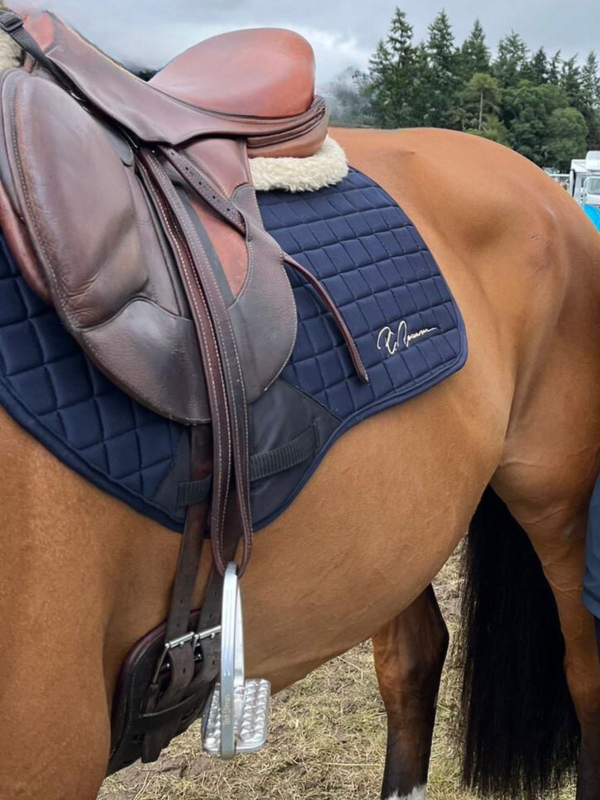 Saddle Pad By Pc Racewear